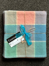 Load image into Gallery viewer, Pet Blanket 90 x 100CM

